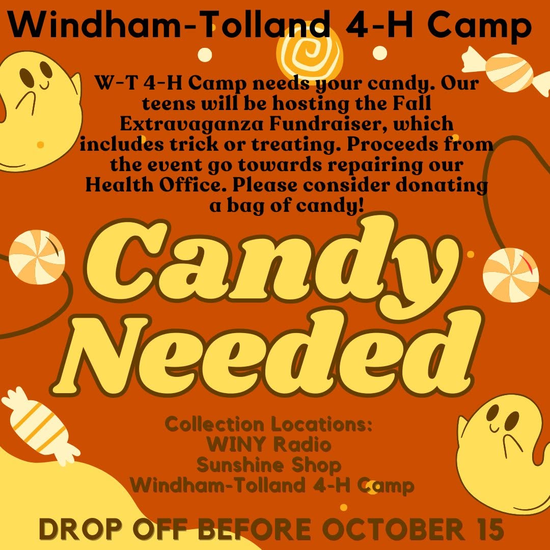 Windham-Tolland 4-H Camp Candy Donations flyer